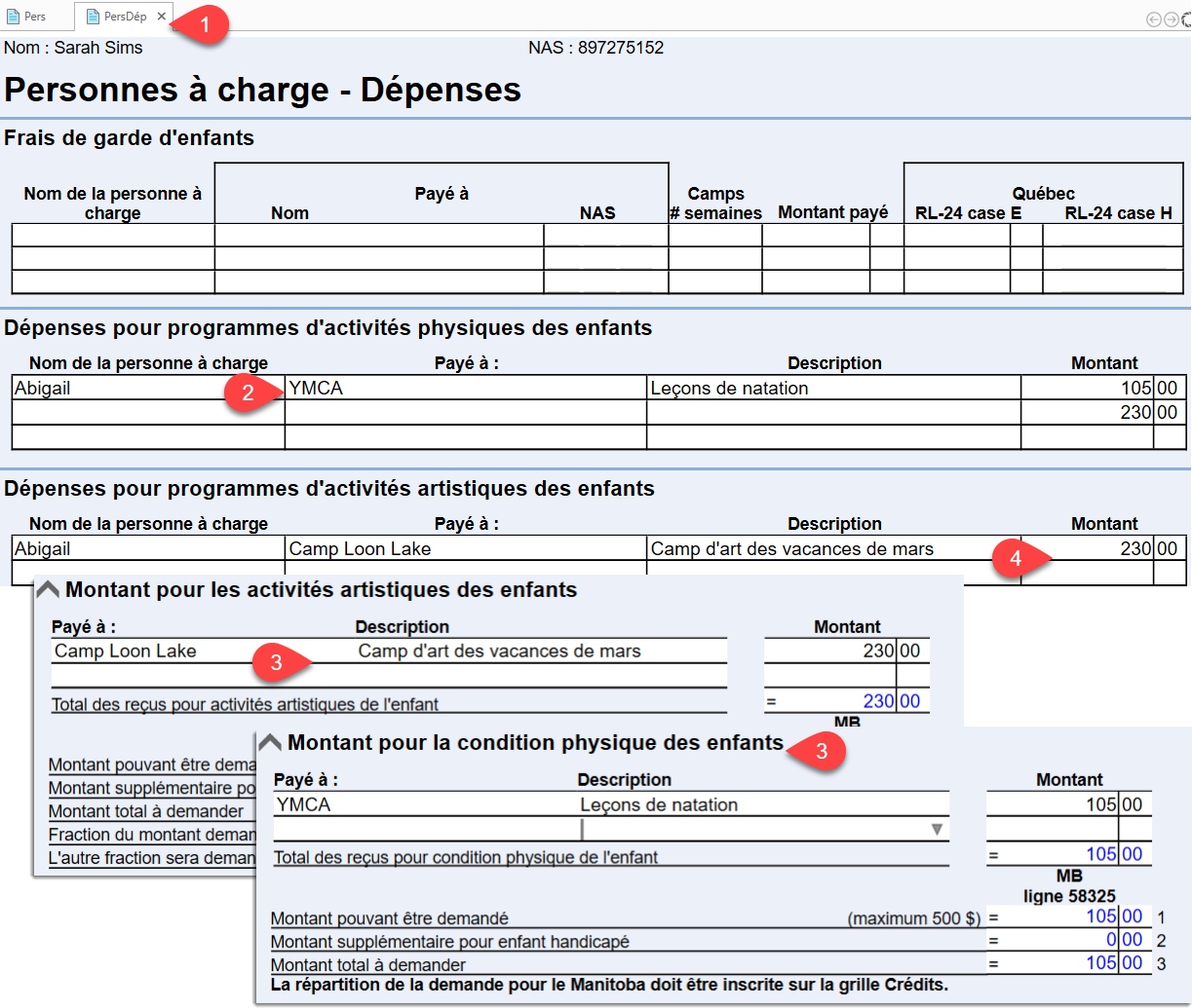 Screen Capture: Children's fitness and art amounts on Dep and DepEx worksheets