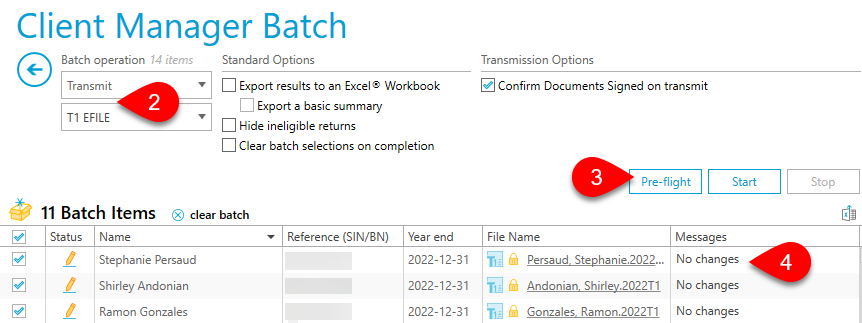 Screen Capture: Pre-flight button for batch transmissions