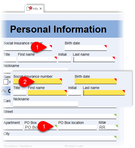 Yellow background field indicator