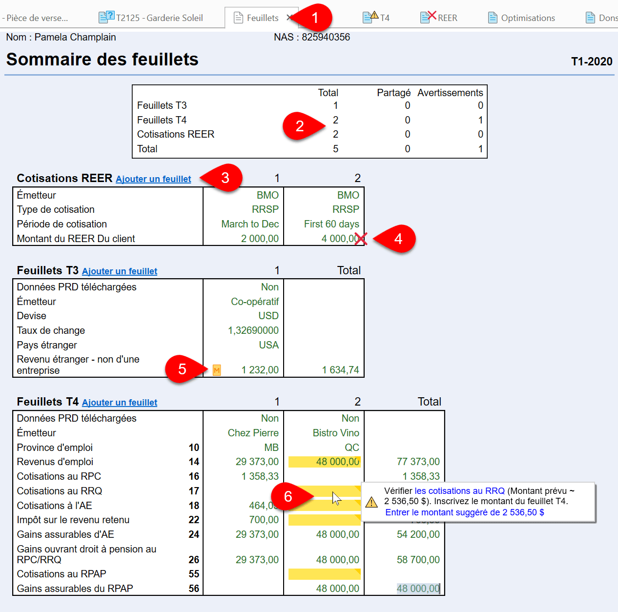 Screen Capture: T1 Slips Summary