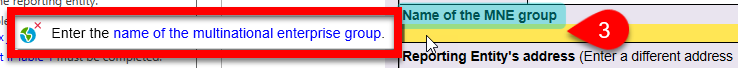 Screen Capture: Enter the name of the MNE group