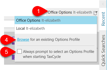 Screen Capture: Options Profile Menu