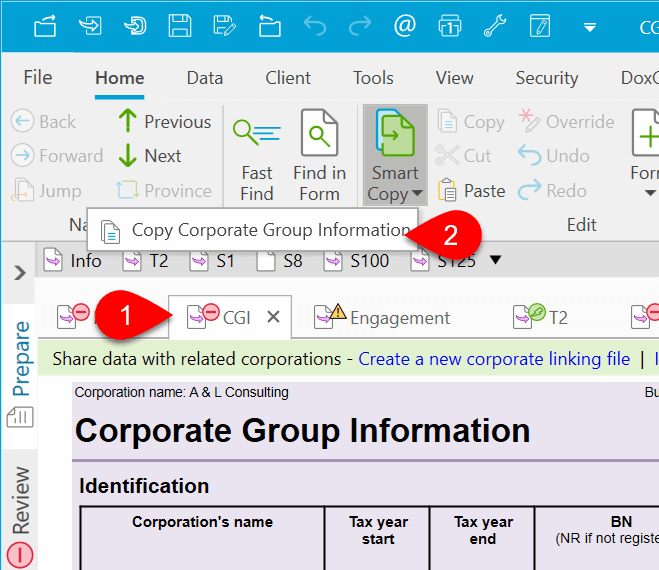 Screen Capture: Smart Copy T2 CGI Worksheet