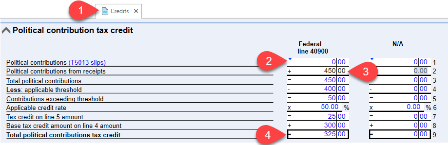 Screen Capture: Enter political contributions on the Credits worksheet