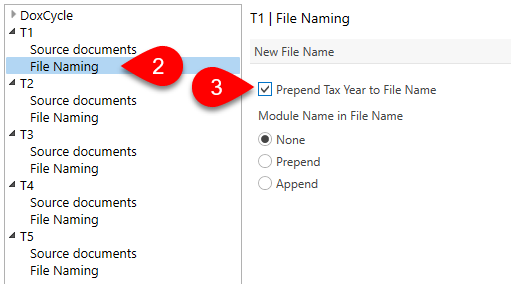 Screen Capture: DoxCycle File Naming options