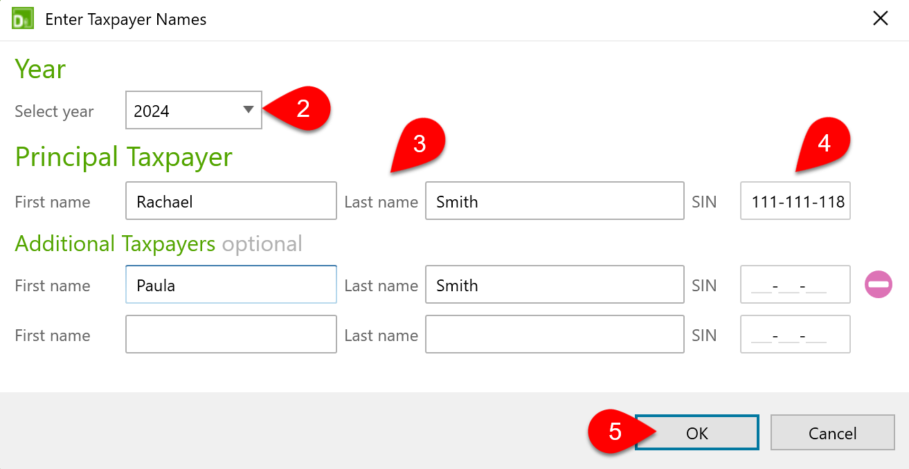 Screen Capture: Enter Taxpayer Names