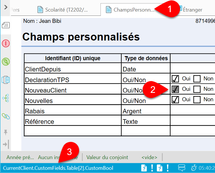 Capture d'écran :Copier le code de champ