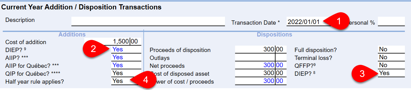 Screen Capture: Current Year Addition/Disposition