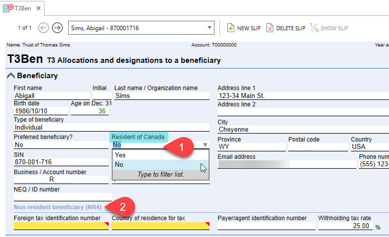 Screen Capture: Choose non-resident on the T3Ben slip