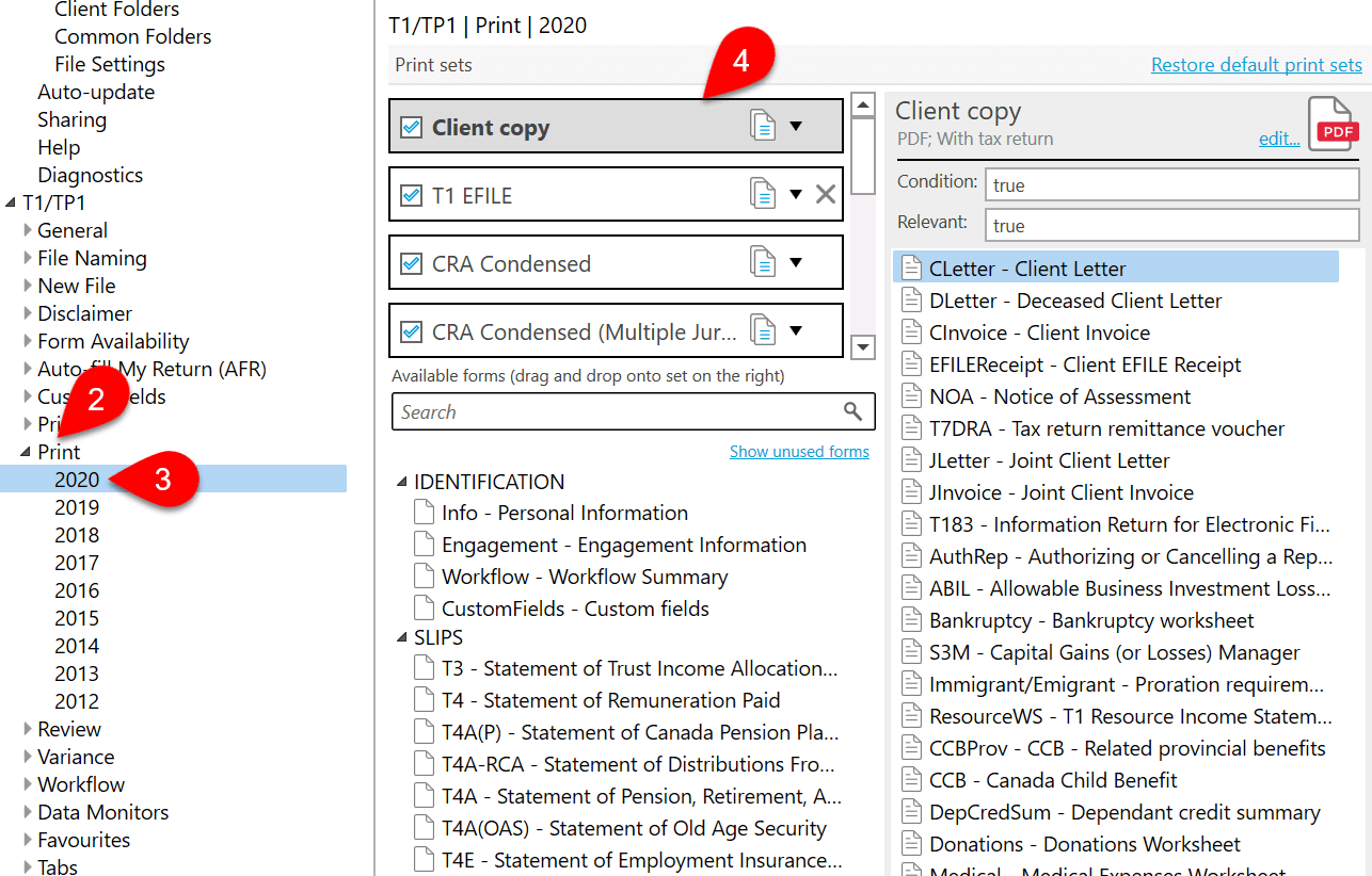 Screen Capture: T1/TP1 Print Options