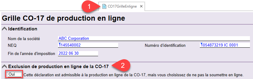 Capture d'écran : grille CO-17 de production en ligne (CO17GrilleEnligne)