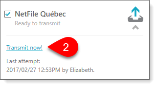 netfile-transmit-now