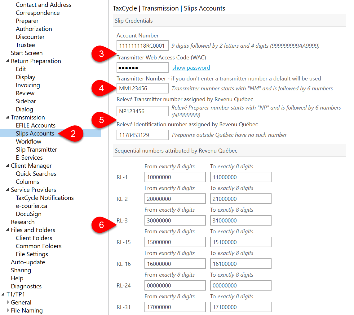 Screen Capture: Slips Accounts Options