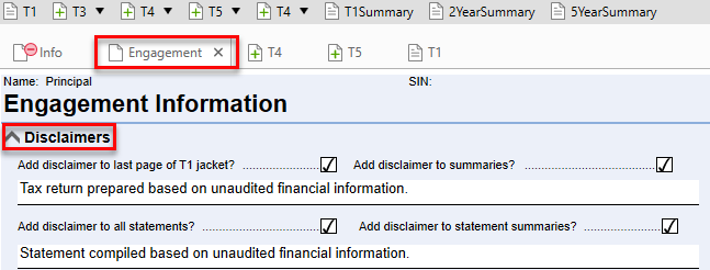 Screen Capture: Disclaimers on the Engagement worksheet