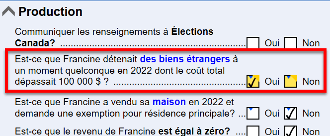 Capture d'écran : Question sur les biens étrangers sur la grille Info