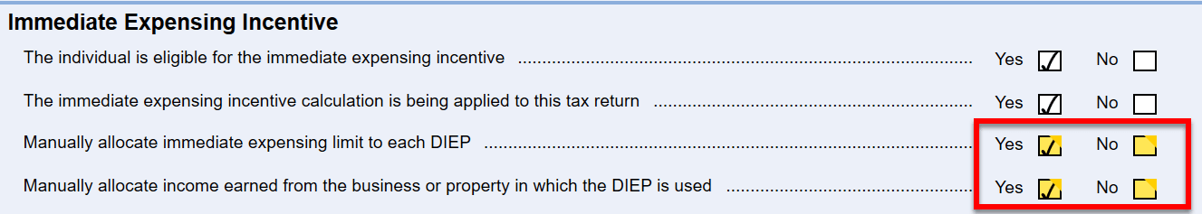 Screen Capture: Immediate Expensing Questions on CCA Claim Worksheet