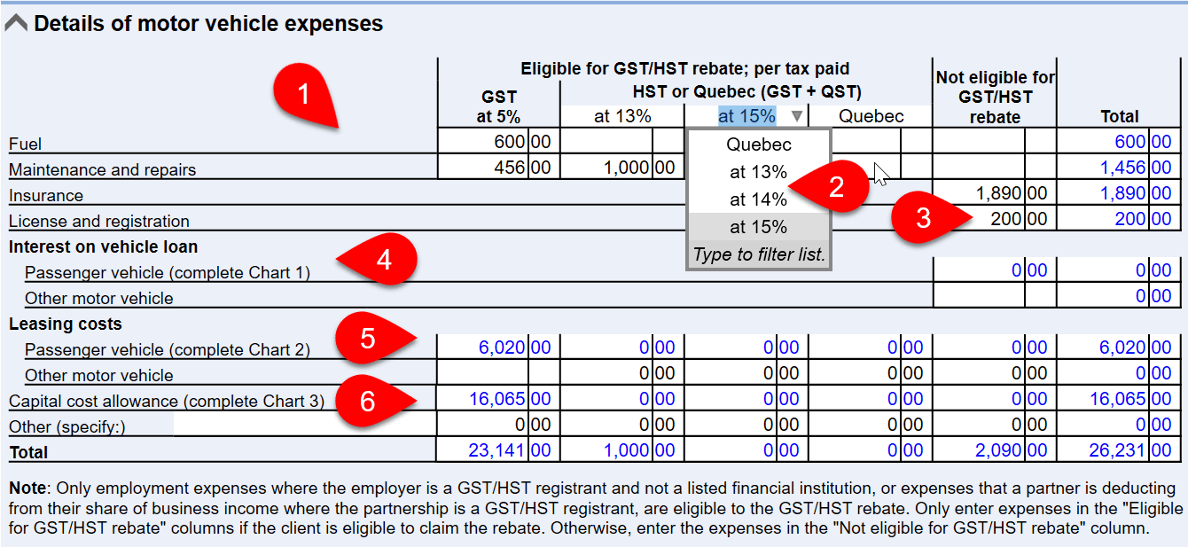 Screen Capture: Details of motor vehicle expenses