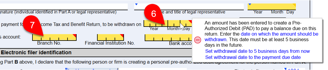 Screen Capture: Banking information fields