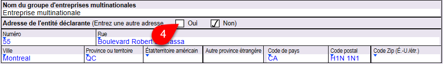 Capture d'écran : Adresse de l'entité déclarante sur la RC4649