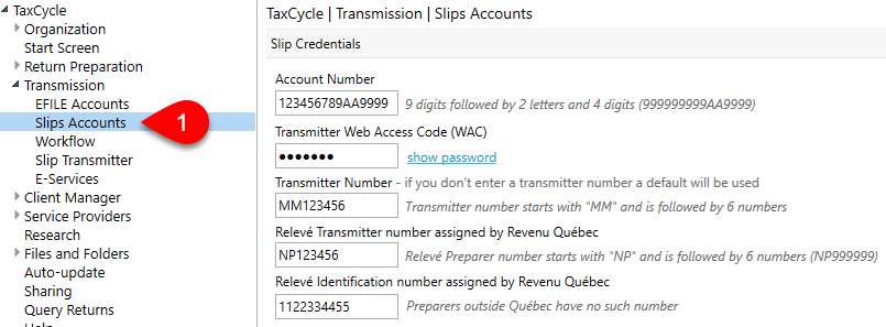 Screen Capture: Slips Accounts page in Options