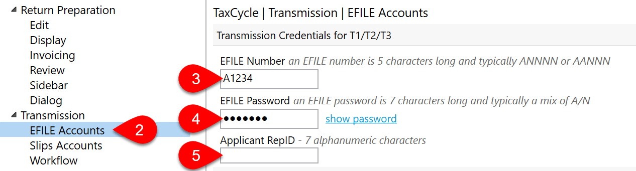 Screen Capture: EFILE Accounts Options