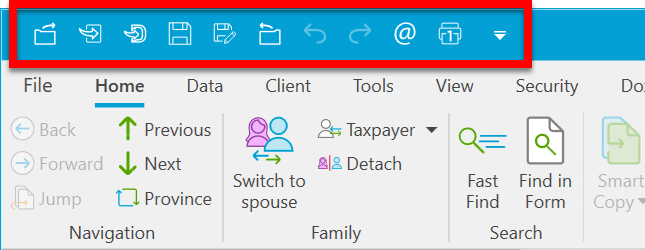 Screen Capture: Quick Access Toolbar (QAT)