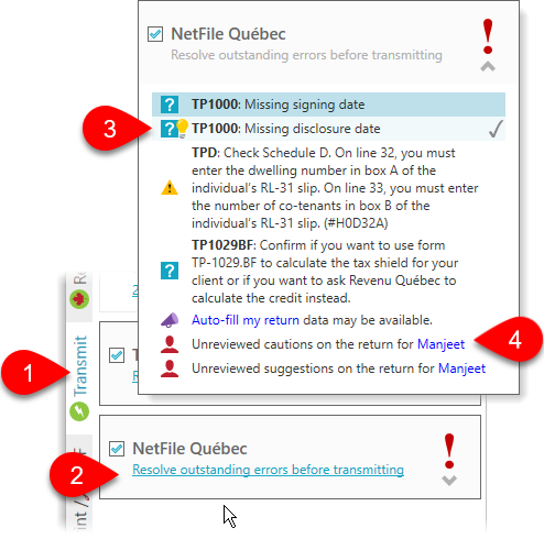 Resolve outstanding NetFile Québec errors