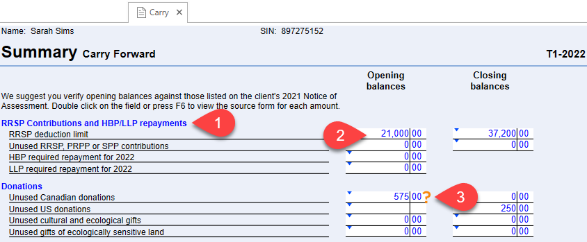 Screen Capture: Carry Forward Summary