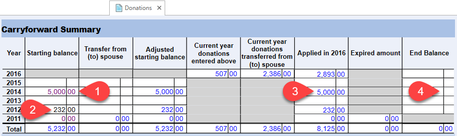 Screen Capture: Donations Carryforward Summary