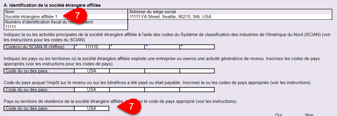 Capture d’écran : T1134Sup Société étrangère affiliée