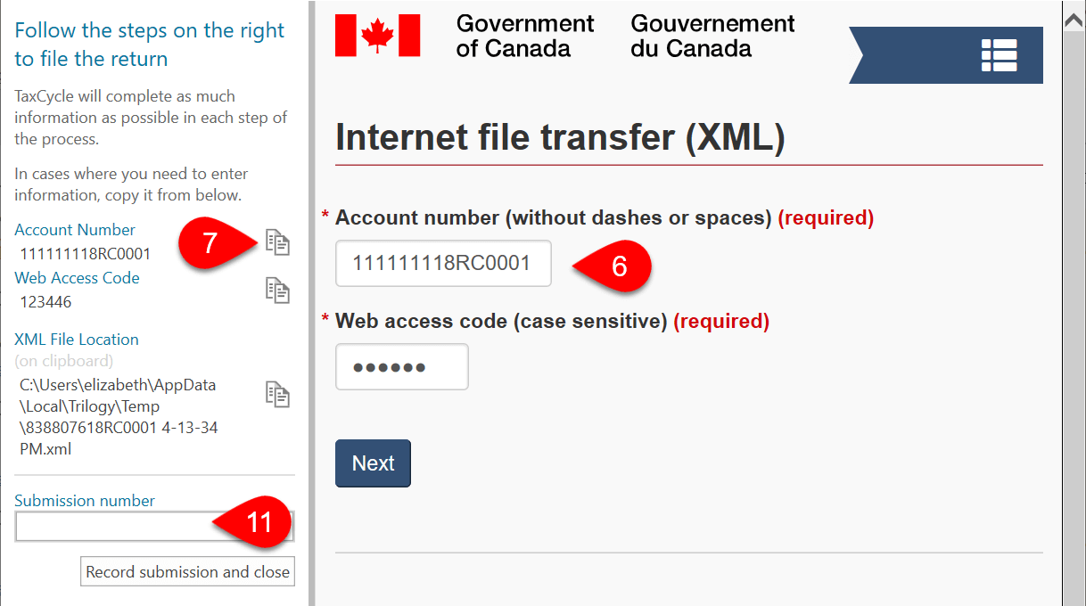 Screen Capture: Record Submission Number