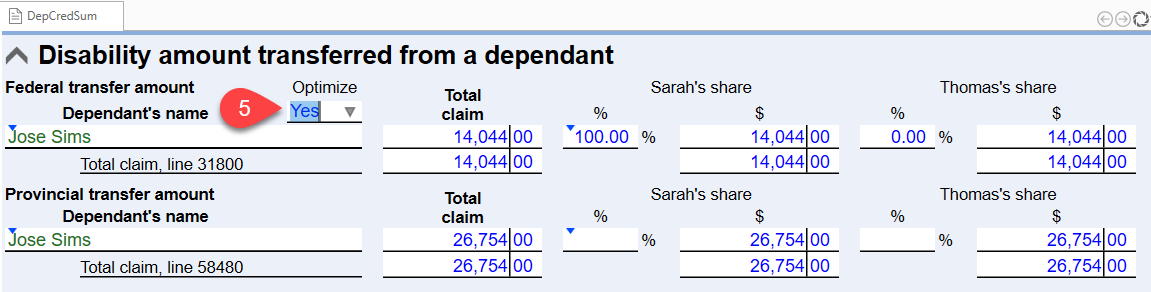 Screen Capture: DepCredSum worksheet