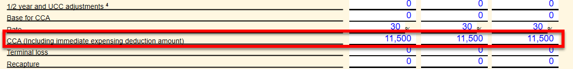 Screen Capture: CCA (including immediate expensing deduction amount)
